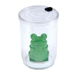 жаба в банке