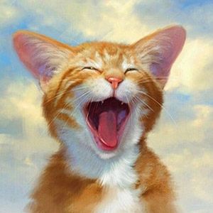 кот смеется