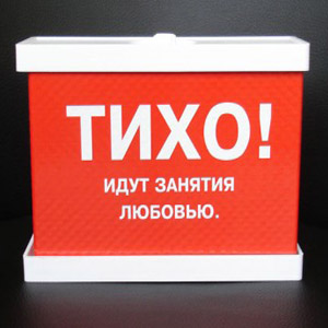 Светильник «Тихо! Идут занятия любовью»