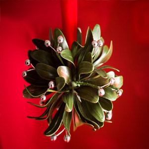 Поцелуй под рождественской омелой: традиции и современность