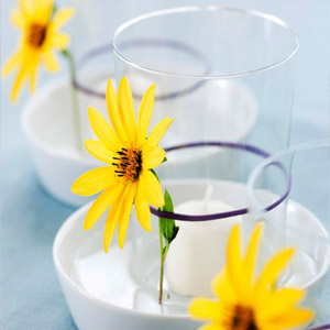 Стаканчики с живыми кореопсисами