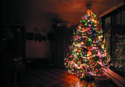 новогодняя елка 