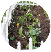 Задание Садим сад