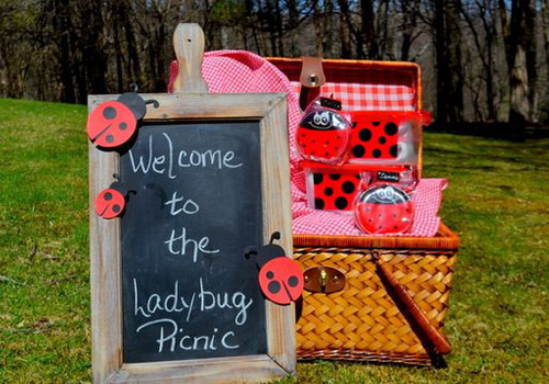 Приветственный баннер