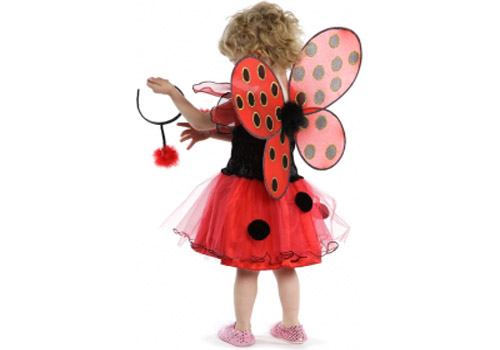 крылышки божьих коровок