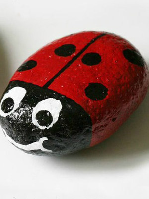 Фасоль - божья коровка