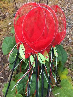 Сети для божьей коровки