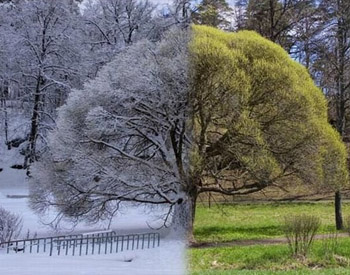 символическое сражение зимы и лета