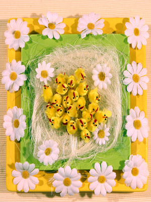 гнездо цыплят 