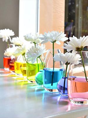 Живые цветы