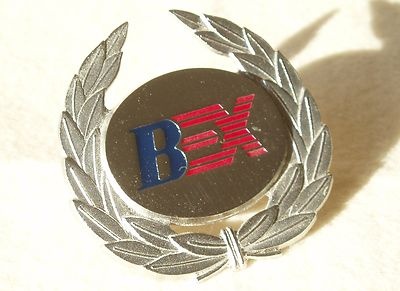 значок пилота