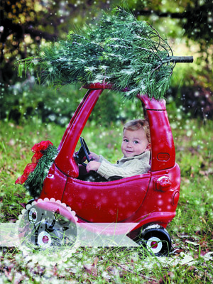 Покупка елки 