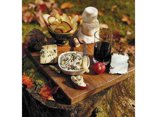 «импровизированный пикник на пеньке»