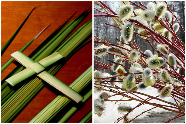 пальмовые листья и верба