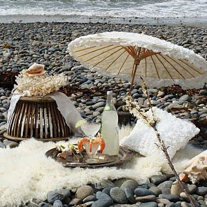 Утонченный пляжный пикник