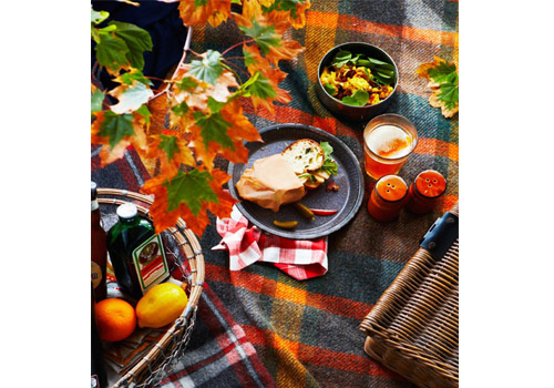 осенний  пикник