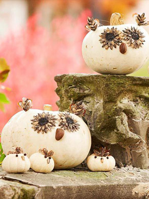 милыеи мудрые совята