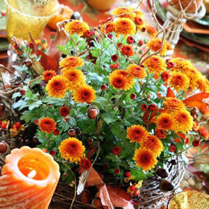 букет в корзинке с лозы 