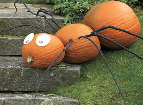 тыква-паук
