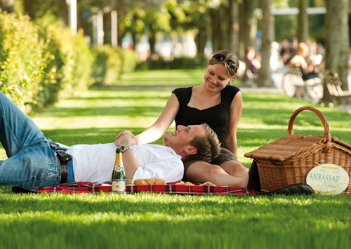 пикник в парке