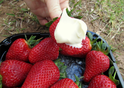 клубника со сливками