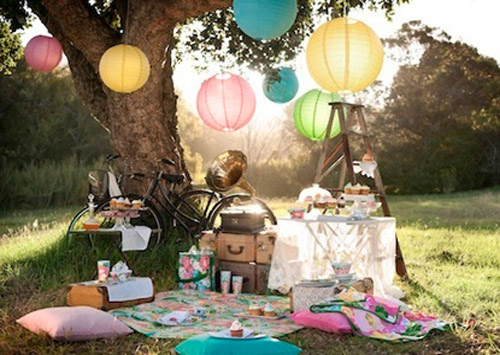 	Домашний пикник 