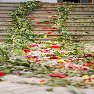 цветочная дорожка