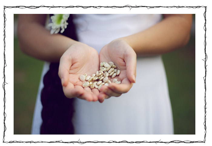 Принцесса на бобах, или история о сбывшейся мечте 