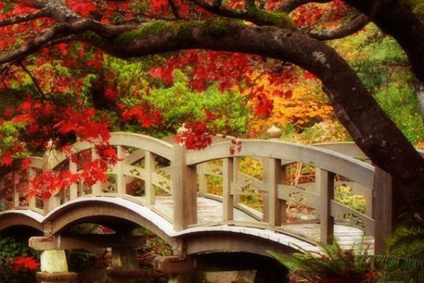 деревянный мостик