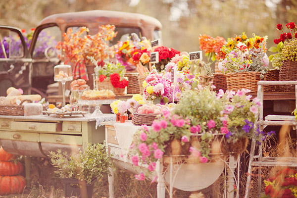 продажа красивых цветов