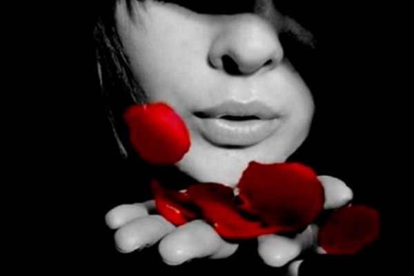 лепестки роз