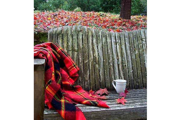 чашка на скамейке