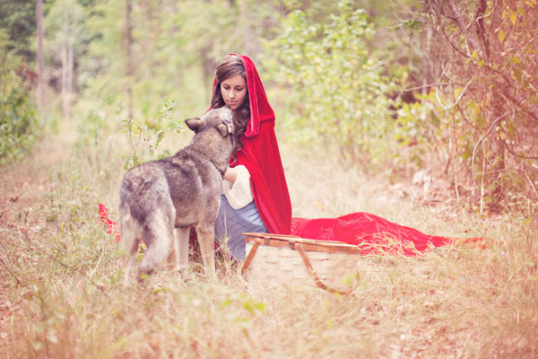 встреча с волком