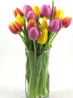 букет Тюльпанов