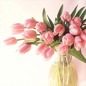 счастливого женского дня