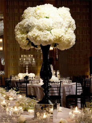 белые цветы 