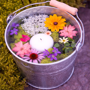 весенние пруды