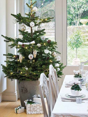 Елка в кадушке