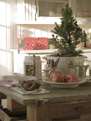 живая елочка в горшке