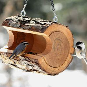 Кормушка для птиц