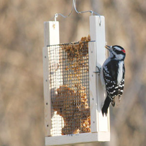 корм для  птиц