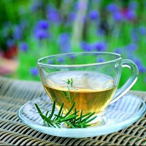 чай из хвои