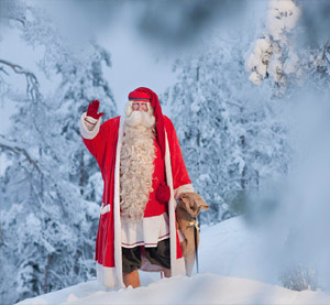 дед Мороз в лесу