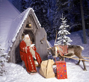 дед Мороз и олень