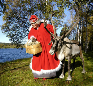 жена деда Мороза