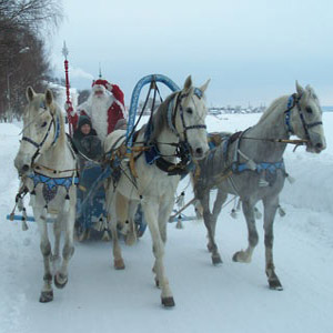 упряжка деда Мороза