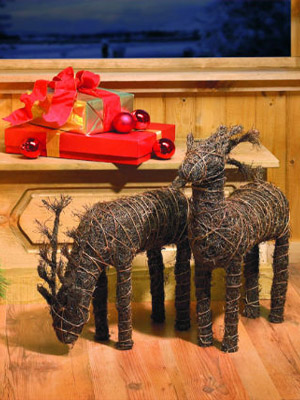 лапланские олени