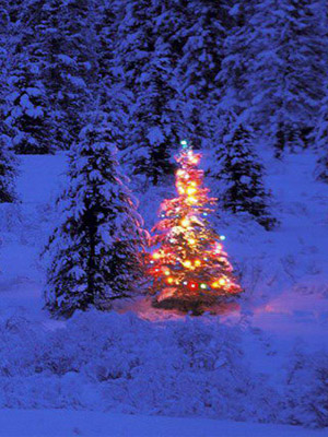 украшенная елочка