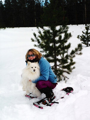 в лес за елкой