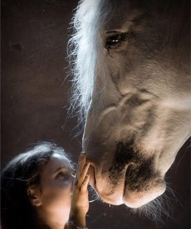 Уроки верховой езды